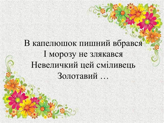 В капелюшок пишний вбравсяІ морозу не злякався. Невеличкий цей сміливець. Золотавий …