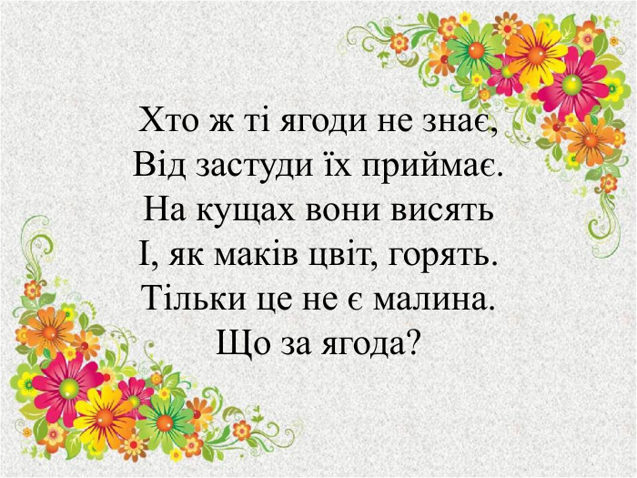Хто ж ті ягоди не знає,Від застуди їх приймає. На кущах вони висятьІ, як маків цвіт, горять. Тільки це не є малина. Що за ягода? 