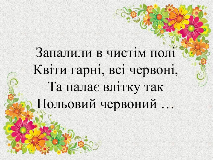 Запалили в чистім поліКвіти гарні, всі червоні,Та палає влітку так. Польовий червоний …