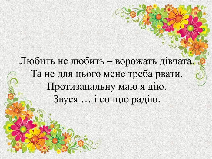 Любить не любить – ворожать дівчата. Та не для цього мене треба рвати. Протизапальну маю я дію. Звуся … і сонцю радію.