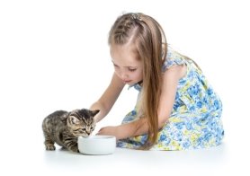 К чему снится кормить котенка: толкование сна для женщины или мужчины, по  сонникам Ванги или Миллера