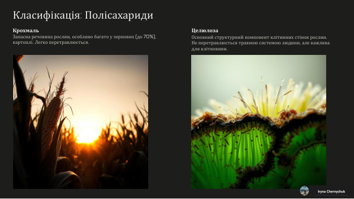 Класифікація: Полісахариди. Крохмаль. Запасна речовина рослин, особливо багато у зернових (до 70%), картоплі. Легко перетравлюється. Целюлоза. Основний структурний компонент клітинних стінок рослин. Не перетравлюється травною системою людини, але важлива для клітковини. Iryna Chernychuk