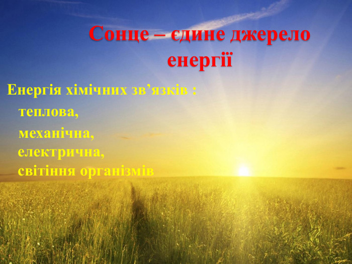 Сонце – єдине джерело енергіїЕнергія хімічних зв’язків : теплова, механічна, електрична, світіння організмів