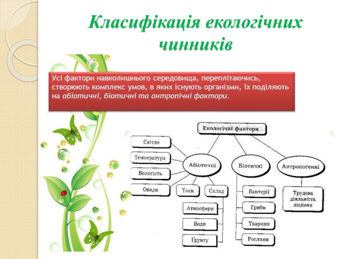 Класифікація екологічних чинників