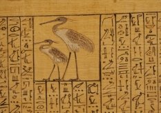 Література Стародавнього Єгипту — Вікіпедія