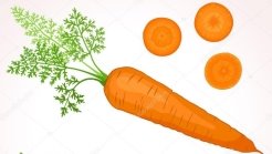 Результат пошуку зображень за запитом "морква"