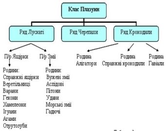 Описание: http://navigator.rv.ua/images/stories/osvitrivne/biologiya/plaz.jpg