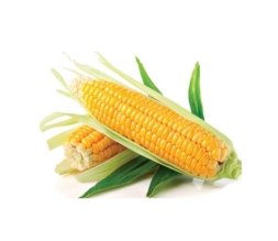 МНАГОР - насіння цукрової кукурудзи від виробника №1 в Україні