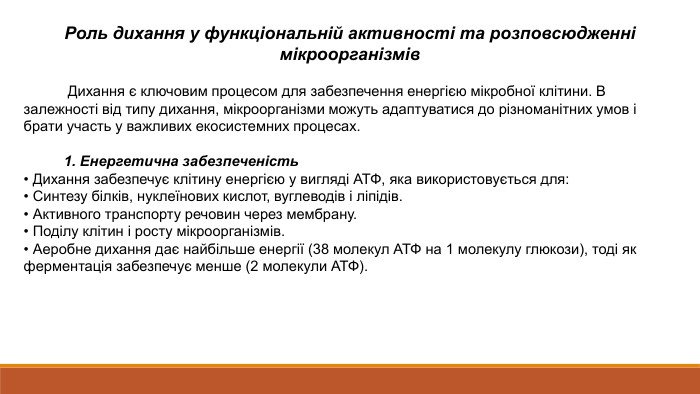 Роль дихання у функціональній активності та розповсюдженні мікроорганізмів Дихання є ключовим процесом для забезпечення енергією мікробної клітини. В залежності від типу дихання, мікроорганізми можуть адаптуватися до різноманітних умов і брати участь у важливих екосистемних процесах. 1. Енергетична забезпеченість• Дихання забезпечує клітину енергією у вигляді АТФ, яка використовується для:• Синтезу білків, нуклеїнових кислот, вуглеводів і ліпідів.• Активного транспорту речовин через мембрану.• Поділу клітин і росту мікроорганізмів.• Аеробне дихання дає найбільше енергії (38 молекул АТФ на 1 молекулу глюкози), тоді як ферментація забезпечує менше (2 молекули АТФ).