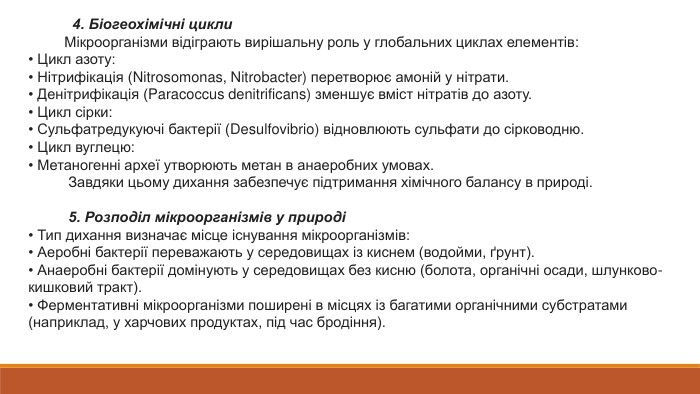  4. Біогеохімічні цикли Мікроорганізми відіграють вирішальну роль у глобальних циклах елементів:• Цикл азоту:• Нітрифікація (Nitrosomonas, Nitrobacter) перетворює амоній у нітрати.• Денітрифікація (Paracoccus denitrificans) зменшує вміст нітратів до азоту.• Цикл сірки:• Сульфатредукуючі бактерії (Desulfovibrio) відновлюють сульфати до сірководню.• Цикл вуглецю:• Метаногенні археї утворюють метан в анаеробних умовах. Завдяки цьому дихання забезпечує підтримання хімічного балансу в природі. 5. Розподіл мікроорганізмів у природі• Тип дихання визначає місце існування мікроорганізмів:• Аеробні бактерії переважають у середовищах із киснем (водойми, ґрунт).• Анаеробні бактерії домінують у середовищах без кисню (болота, органічні осади, шлунково-кишковий тракт).• Ферментативні мікроорганізми поширені в місцях із багатими органічними субстратами (наприклад, у харчових продуктах, під час бродіння).