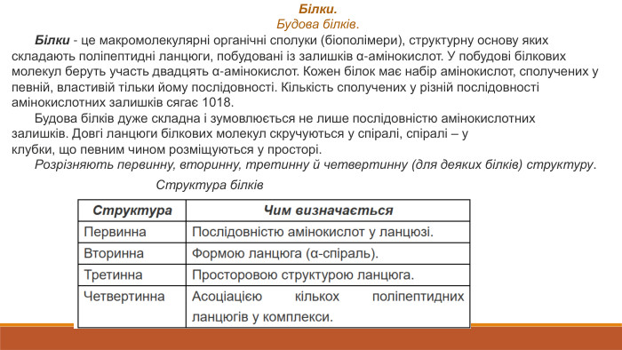 Білки. Будова білків. Білки ‑ це макромолекулярні органічні сполуки (біополімери), структурну основу яких складають поліпептидні ланцюги, побудовані із залишків α-амінокислот. У побудові білкових молекул беруть участь двадцять α-амінокислот. Кожен білок має набір амінокислот, сполучених у певній, властивій тільки йому послідовності. Кількість сполучених у різній послідовності амінокислотних залишків сягає 1018. Будова білків дуже складна і зумовлюється не лише послідовністю амінокислотних залишків. Довгі ланцюги білкових молекул скручуються у спіралі, спіралі – у клубки, що певним чином розміщуються у просторі. Розрізняють первинну, вторинну, третинну й четвертинну (для деяких білків) структуру. Структура білків