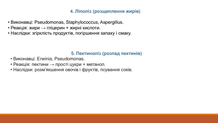 4. Ліполіз (розщеплення жирів)• Виконавці: Pseudomonas, Staphylococcus, Aspergillus.• Реакція: жири → гліцерин + жирні кислоти.• Наслідки: згірклість продуктів, погіршення запаху і смаку.5. Пектиноліз (розпад пектинів)• Виконавці: Erwinia, Pseudomonas.• Реакція: пектини → прості цукри + метанол.• Наслідки: розм’якшення овочів і фруктів, псування соків.