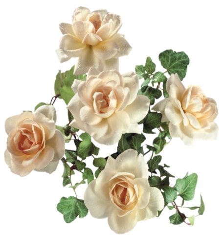 Букет из пяти белых роз - Розы - Картинки PNG - Галерейка