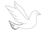 Описание: Картинки по запросу рисунок голубя