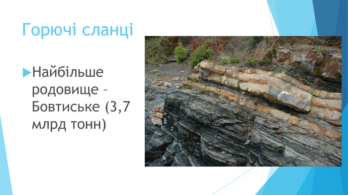 Горючі сланці Найбільше родовище – Бовтиське (3,7 млрд тонн)