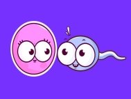 Знаете ли вы, что яйцеклетка выбирает сперматозоид, а не наоборот?