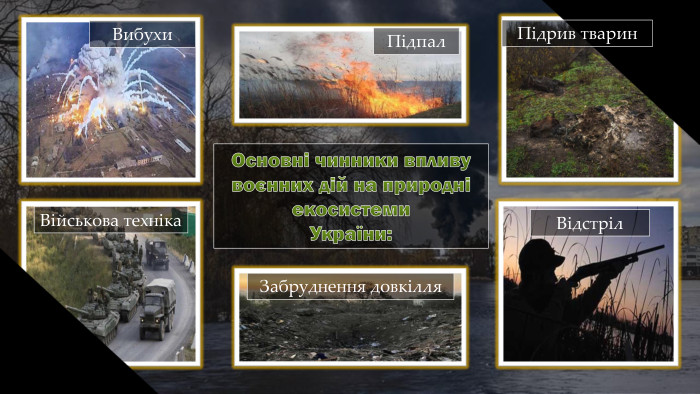 Основні чинники впливу воєнних дій на природні екосистеми. України: Вибухи. Підпал. Військова техніка. Підрив тварин. Забруднення довкілля. Відстріл