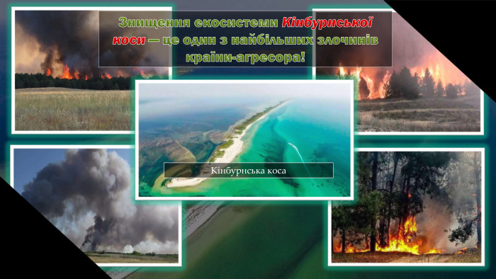 Кінбурнська коса. Знищення екосистеми Кінбурнської коси — це один з найбільших злочинів країни-агресора!