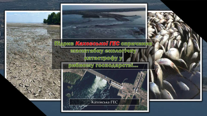 Підрив Каховської ГЕС спричинив масштабну екологічну катастрофу урибному господарстві…Каховська ГЕС
