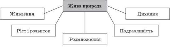 http://subject.com.ua/lesson/nature/5klas/5klas.files/image011.jpg