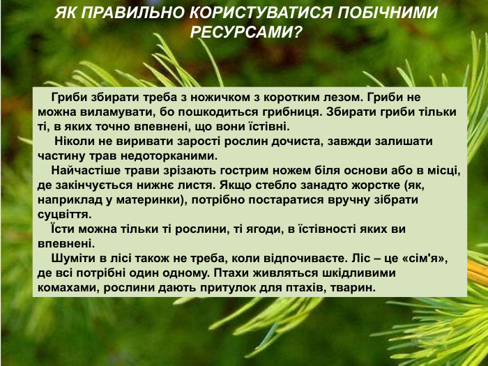 ЯК ПРАВИЛЬНО КОРИСТУВАТИСЯ ПОБІЧНИМИ   РЕСУРСАМИ?            Гриби збирати треба з ножичком з коротким лезом. Гриби не можна виламувати, бо пошкодиться грибниця. Збирати гриби тільки ті, в яких точно впевнені, що вони їстівні.       Ніколи не виривати зарості рослин дочиста, завжди залишати частину трав недоторканими.     Найчастіше трави зрізають гострим ножем біля основи або в місці, де закінчується нижнє листя. Якщо стебло занадто жорстке (як, наприклад у материнки), потрібно постаратися вручну зібрати  суцвіття.     Їсти можна тільки ті рослини, ті ягоди, в їстівності яких ви впевнені.     Шуміти в лісі також не треба, коли відпочиваєте. Ліс – це «сім'я», де всі потрібні один одному. Птахи живляться шкідливими комахами, рослини дають притулок для птахів, тварин. 