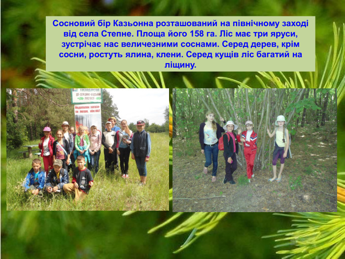 Сосновий бір Казьонна розташований на північному заході від села Степне. Площа його 158 га. Ліс має три яруси, зустрічає нас величезними соснами. Серед дерев, крім сосни, ростуть ялина, клени. Серед кущів ліс багатий на ліщину.  