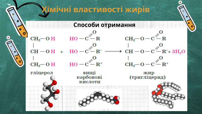 Хімічні властивості жирів Способи отримання