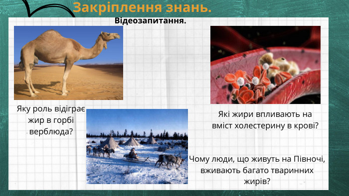 Відеозапитання. Закріплення знань. Яку роль відіграє жир в горбі верблюда?Які жири впливають на вміст холестерину в крові?Чому люди, що живуть на Півночі, вживають багато тваринних жирів?