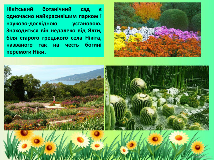 Нікітський ботанічний сад є одночасно найкрасивішим парком і науково-дослідною установою. Знаходиться він недалеко від Ялти, біля старого грецького села Нікіта, названого так на честь богині перемоги Ніки.