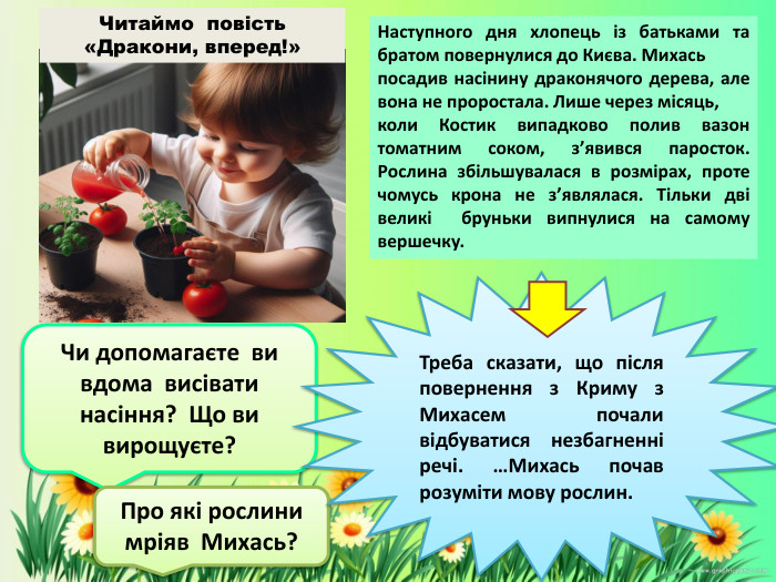 Наступного дня хлопець із батьками та братом повернулися до Києва. Михась посадив насінину драконячого дерева, але вона не проростала. Лише через місяць, коли Костик випадково полив вазон томатним соком, з’явився паросток. Рослина збільшувалася в розмірах, проте чомусь крона не з’являлася. Тільки дві великі бруньки випнулися на самому вершечку. Чи допомагаєте ви вдома висівати насіння? Що ви вирощуєте?Про які рослини мріяв Михась?Треба сказати, що після повернення з Криму з Михасем почали відбуватися незбагненні речі. …Михась почав розуміти мову рослин. Читаймо повість «Дракони, вперед!»