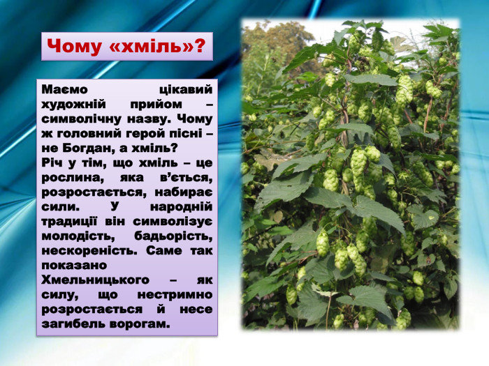 Чому «хміль»?Маємо цікавий художній прийом – символічну назву. Чому ж головний герой пісні – не Богдан, а хміль?Річ у тім, що хміль – це рослина, яка в’ється, розростається, набирає сили. У народній традиції він символізує молодість, бадьорість, нескореність. Саме так показано Хмельницького – як силу, що нестримно розростається й несе загибель ворогам.