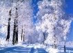 Красивый снег (44 фото) лед, иней картинки видео