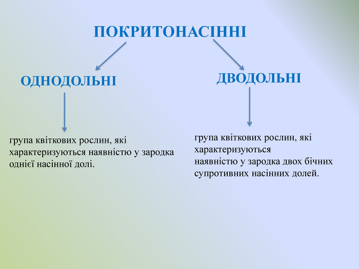 Реферат: Рослини класів однодольних і дводольних відмінності між ними Основні родини класу однодольних