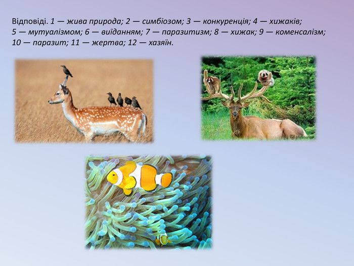 Реферат: Живі організми як особливе середовище існування Тип взаємозв язків між організмами 2