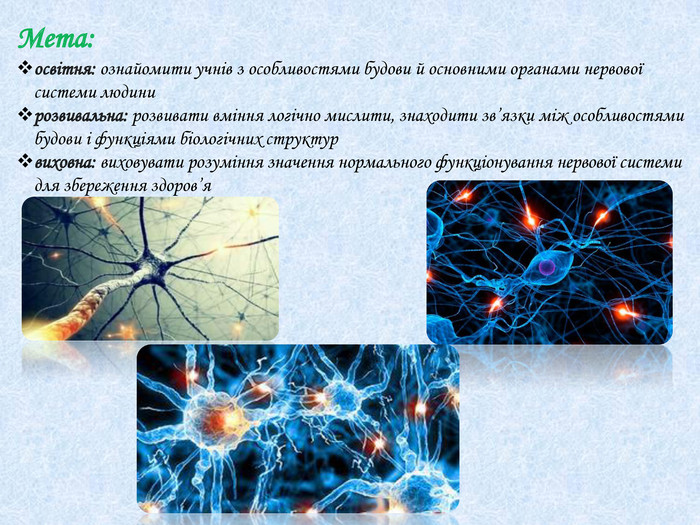 Контрольная работа: Класифікація нервової системи та її будова