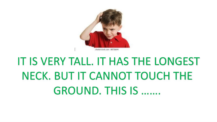 IT IS VERY TALL. IT HAS THE LONGESTNECK. BUT IT CANNOT TOUCH THE GROUND. THIS IS ……. 