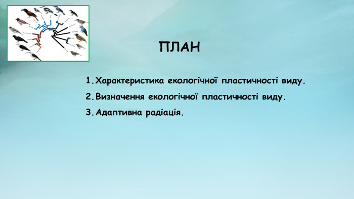 ПЛАН Характеристика екологічної пластичності виду. Визначення екологічної пластичності виду. Адаптивна радіація. 
