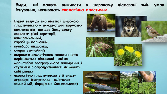 Види, які можуть виживати в широкому діапазоні змін умов існування, називають екологічно пластични. Бурий ведмідь вирізняється широкою пластичністю у використанні кормових компонентів, що дає йому змогу заселяти різні території,вовк звичайний, горобець польовий, кульбаба лікарська, очерет звичайнийширокою екологічною пластичністю вирізняються діатомові , які за масштабом географічного поширення і ступенем біопродуктивності не мають собі рівнихекологічно пластичними є й види-агресори (наприклад, змієголов звичайний, борщівник Сосновського).