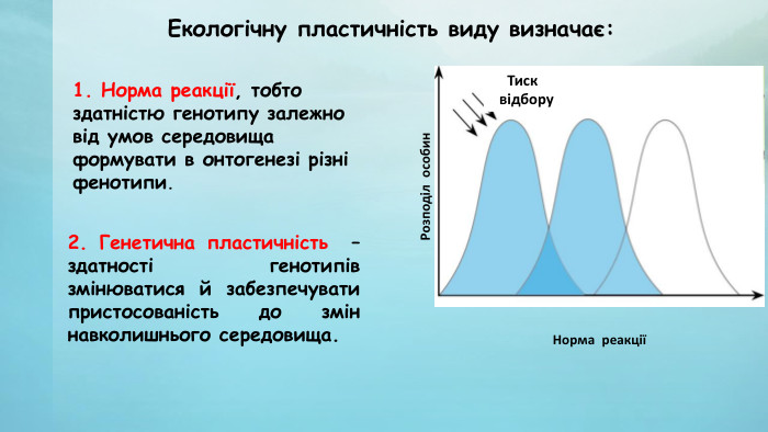 Екологічну пластичність виду визначає:1. Норма реакції, тобто здатністю генотипу залежно від умов середовища формувати в онтогенезі різні фенотипи. 2. Генетична пластичність – здатності генотипів змінюватися й забезпечувати пристосованість до змін навколишнього середовища. Норма реакціїТиск відбору. Розподіл особин