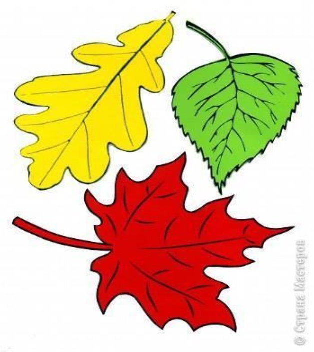 Осенние листья из бумаги + шаблоны | razpetelka.ru
