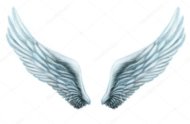 C:\Documents and Settings\user\Рабочий стол\depositphotos_83131404-stock-photo-angel-wings-internal-white-wing.jpg