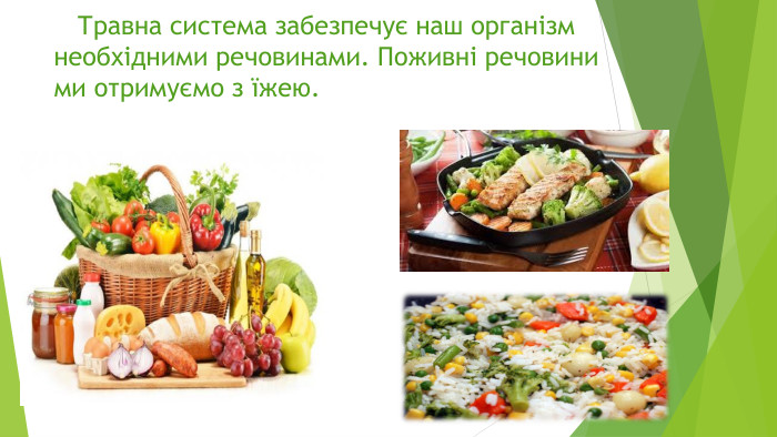  Травна система забезпечує наш організм необхідними речовинами. Поживні речовини ми отримуємо з їжею.