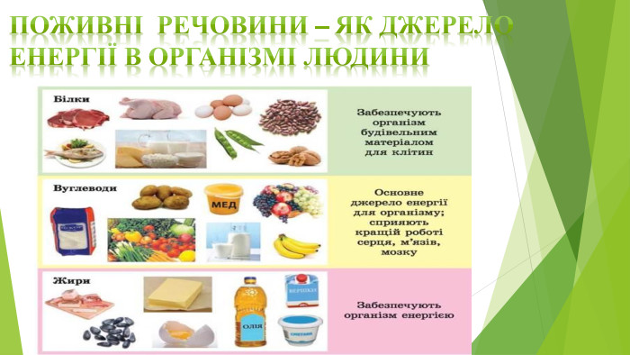 Поживні речовини – як джерело енергії в організмі людини