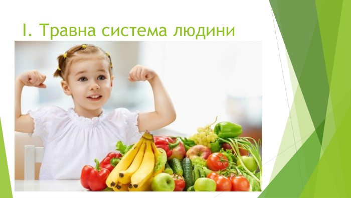 І. Травна система людини