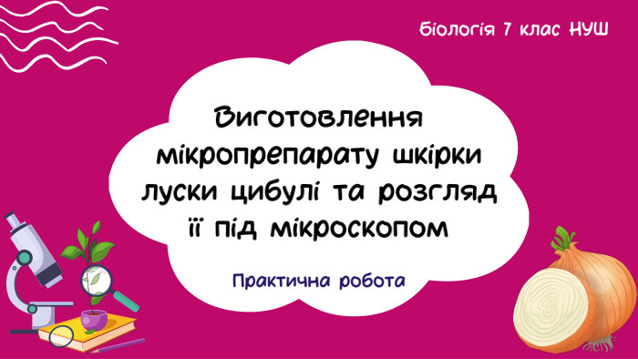 Виготовлення мікропрепарату шкірки луски цибулі та розгляд її під мікроскопом. Практична робота. Біологія 7 клас НУШ