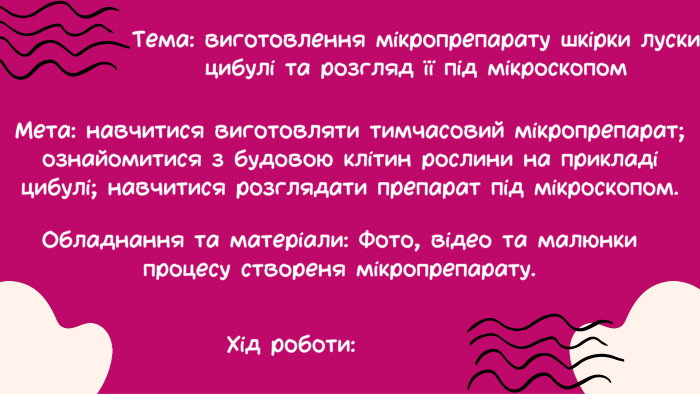 Тема: виготовлення мікропрепарату шкірки луски цибулі та розгляд її під мікроскопом. Мета: навчитися виготовляти тимчасовий мікропрепарат; ознайомитися з будовою клітин рослини на прикладі цибулі; навчитися розглядати препарат під мікроскопом. Обладнання та матеріали: Фото, відео та малюнки процесу створеня мікропрепарату. Хід роботи: