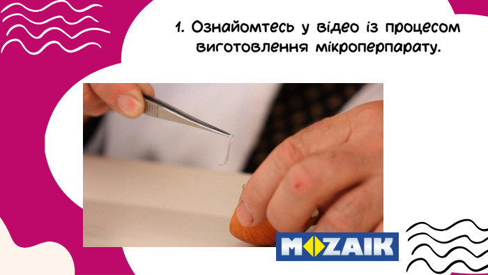 1. Ознайомтесь у відео із процесом виготовлення мікроперпарату.