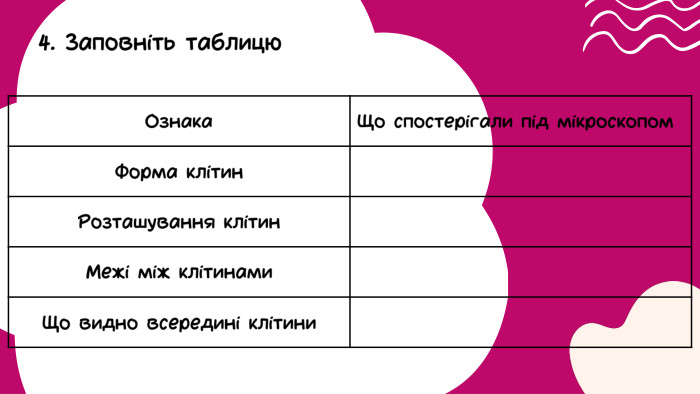 Ознака. Що спостерігали під мікроскопом. Форма клітин. Розташування клітин. Межі між клітинами. Що видно всередині клітини4. Заповніть таблицю