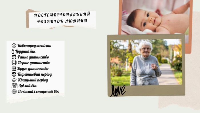 👶 Новонародженість🍼 Грудний вік🧒 Раннє дитинство🎒 Перше дитинство📚 Друге дитинство🧑 Підлітковий період🎓 Юнацький період👨‍👩‍👧 Зрілий вік👵 Похилий і старечий вік. ПОСТЕМБРІОНАЛЬНИЙ РОЗВИТОК ЛЮДИНИ