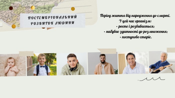 ПОСТЕМБРІОНАЛЬНИЙ РОЗВИТОК ЛЮДИНИПеріод життя від народження до смерті. У цей час організм:• росте і розвивається; • набуває здатності до розмноження; • поступово старіє.